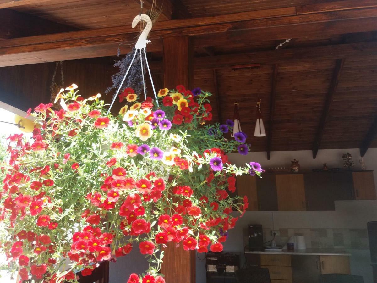 Casa Mura Două Mai Εξωτερικό φωτογραφία